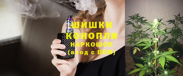 индика Аркадак