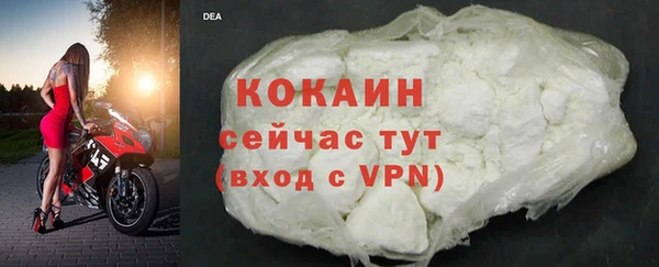 индика Аркадак