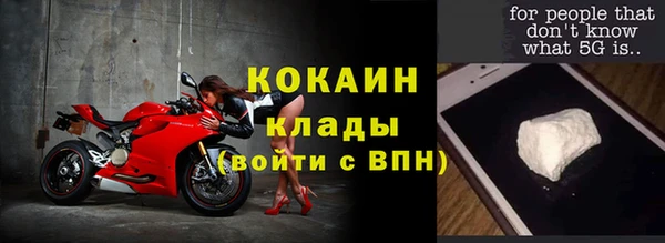 индика Аркадак